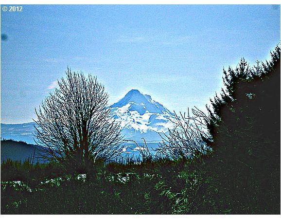 5375 York Hill Road Hood River, OR 97031 - Photo 3 of 6 Gallery Image 3