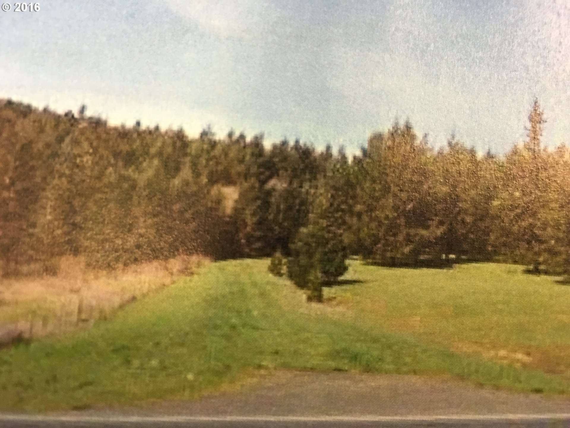 0 Eagle Valley Road Oakland, OR 97462 - Photo 2 of 2 Gallery Image 2