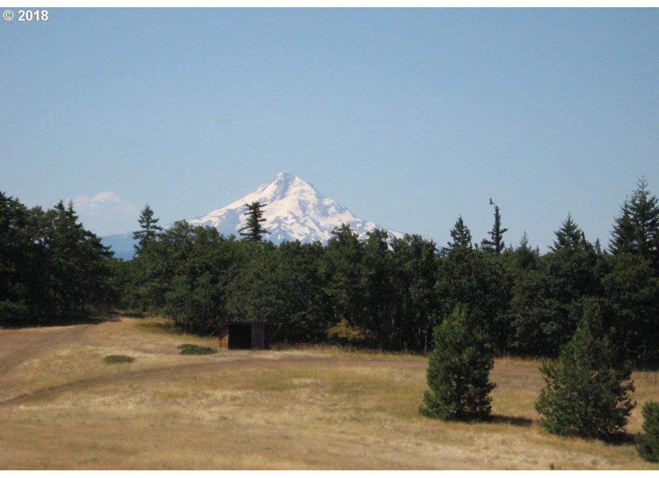 Mt View Road, Unit 8 Lyle, WA 98635 - Photo 2 of 4 Gallery Image 2