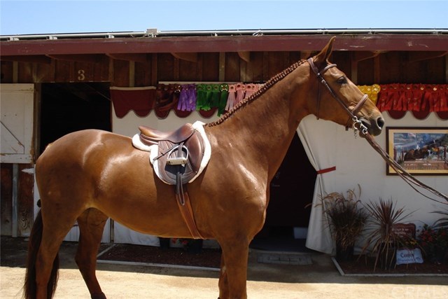 28301 Via Del Mar San Juan Capistrano, CA 92675 - Photo 36 of 39 Close to National Equestrian Events and Facilities.