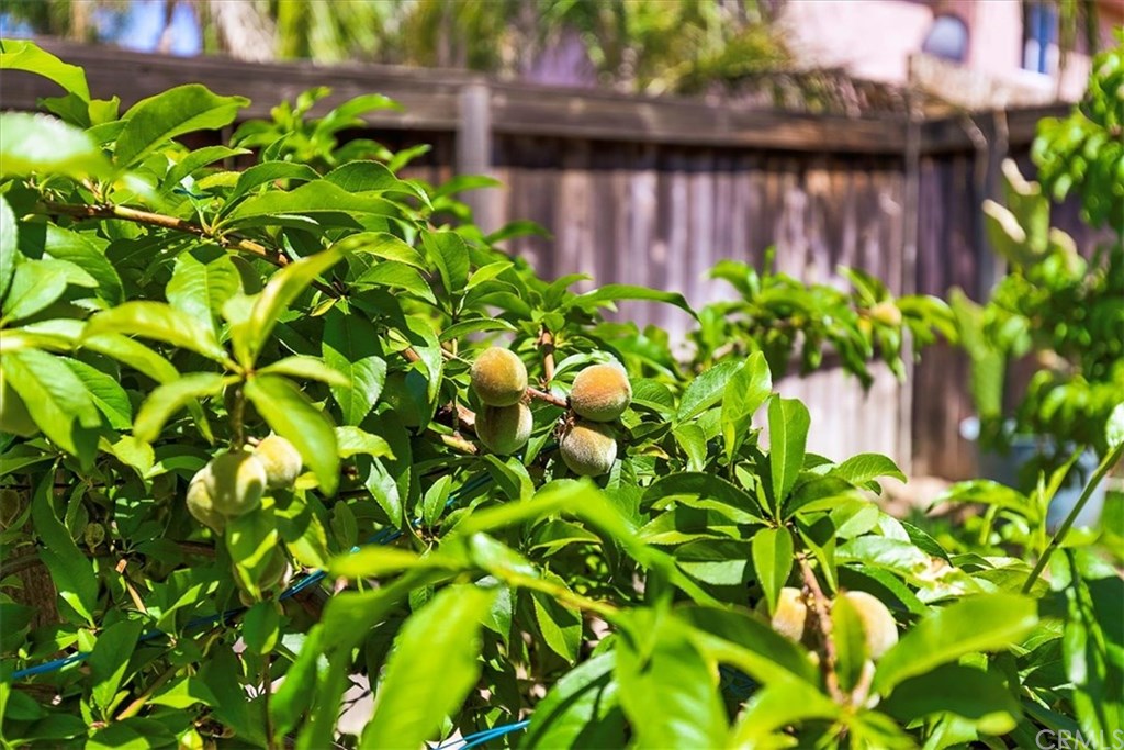 1540 Willow Bird Circle Hemet, CA 92545 - Photo 29 of 32