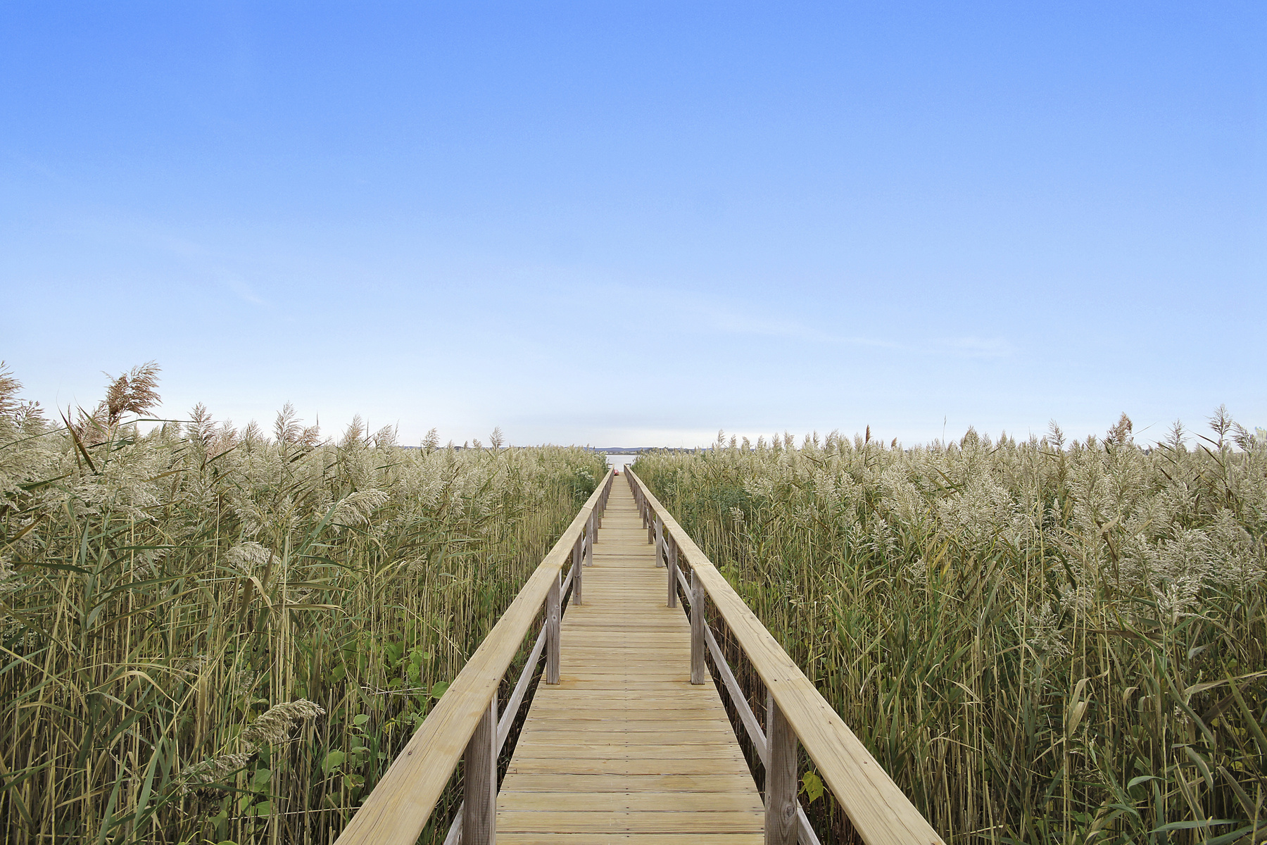 360 Dune Road Bridgehampton, NY 11932 - Photo 4 of 11