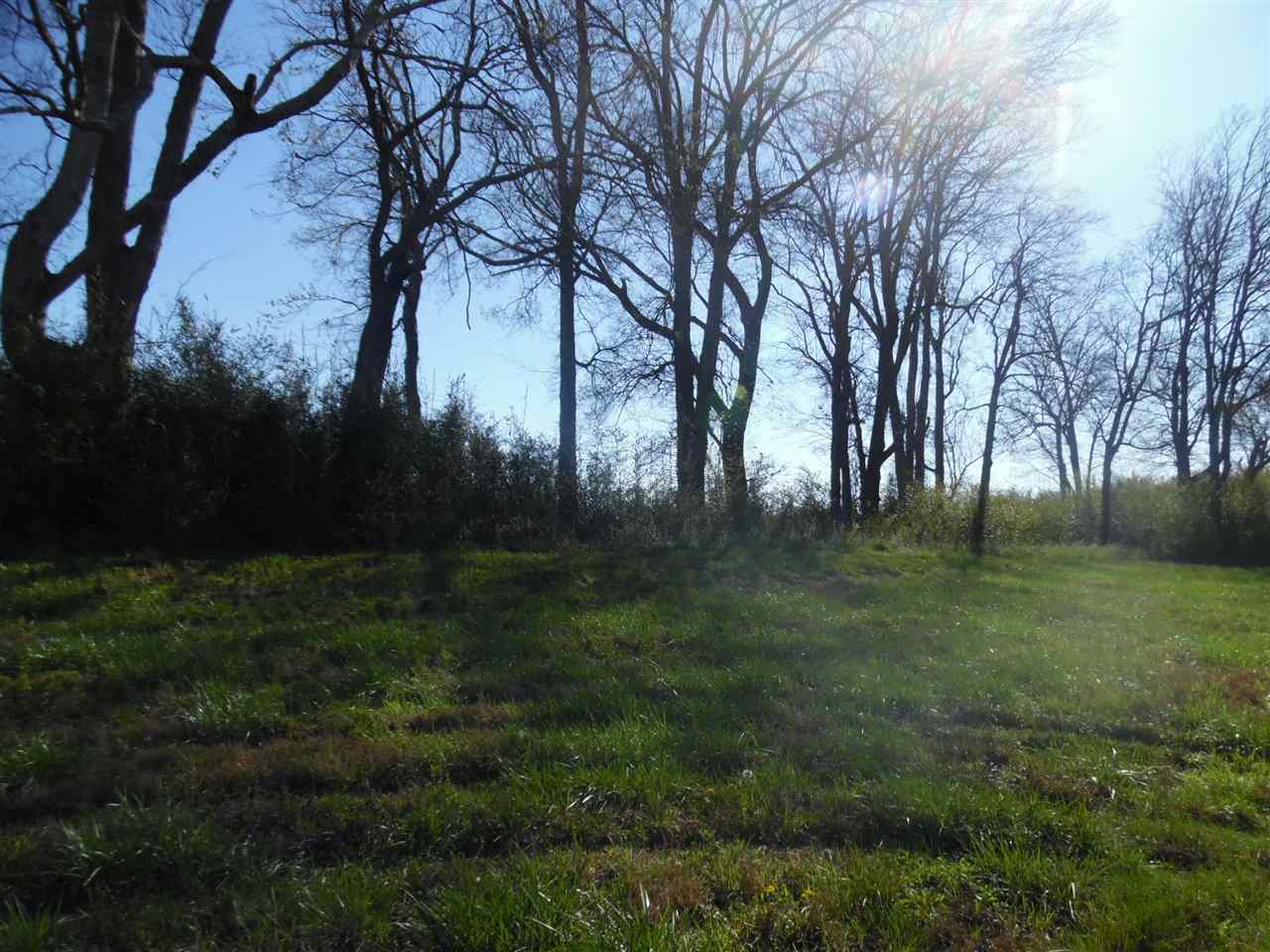 95 River Breeze Estates Road Savannah, TN 38372 - Photo 5 of 10