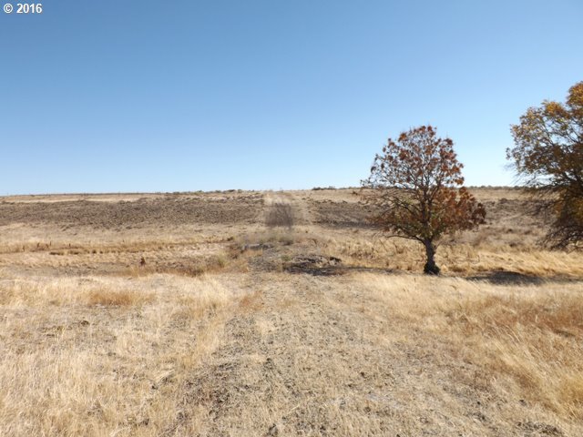 Dightons Road Goldendale, WA 98620 - Photo 2 of 15 Gallery Image 2