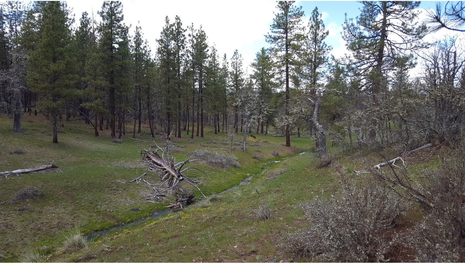 268 Log Cabin Road Goldendale, WA 98620 - Photo 9 of 20 Gallery Image 9