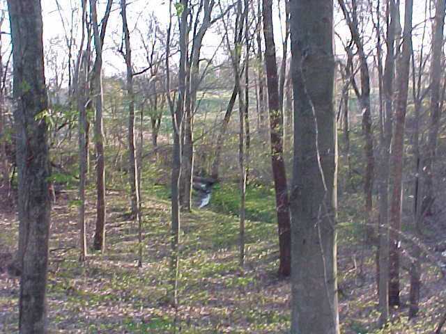 0 J B J B Stricklin Road Troy, TN 38260 - Photo 8 of 8 Gallery Image 8