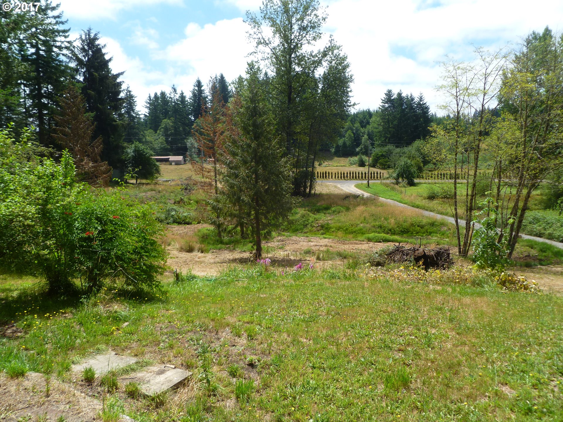 39321 Southeast Fall Creek Road Estacada, OR 97023 - Photo 21 of 22 Gallery Image 21
