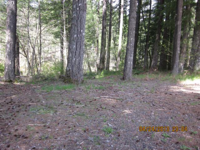 Old Blaidsdell Road Carson, WA 98610 - Photo 6 of 6 Gallery Image 6