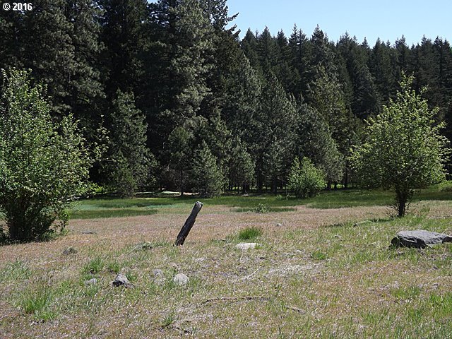 101 Lahar Road, Unit 1 Trout Lake, WA 98650 - Photo 7 of 22 Gallery Image 7