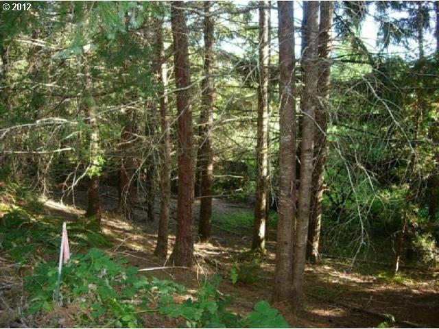 Tyee Road Umpqua, OR 97486 - Photo 8 of 14 Gallery Image 8