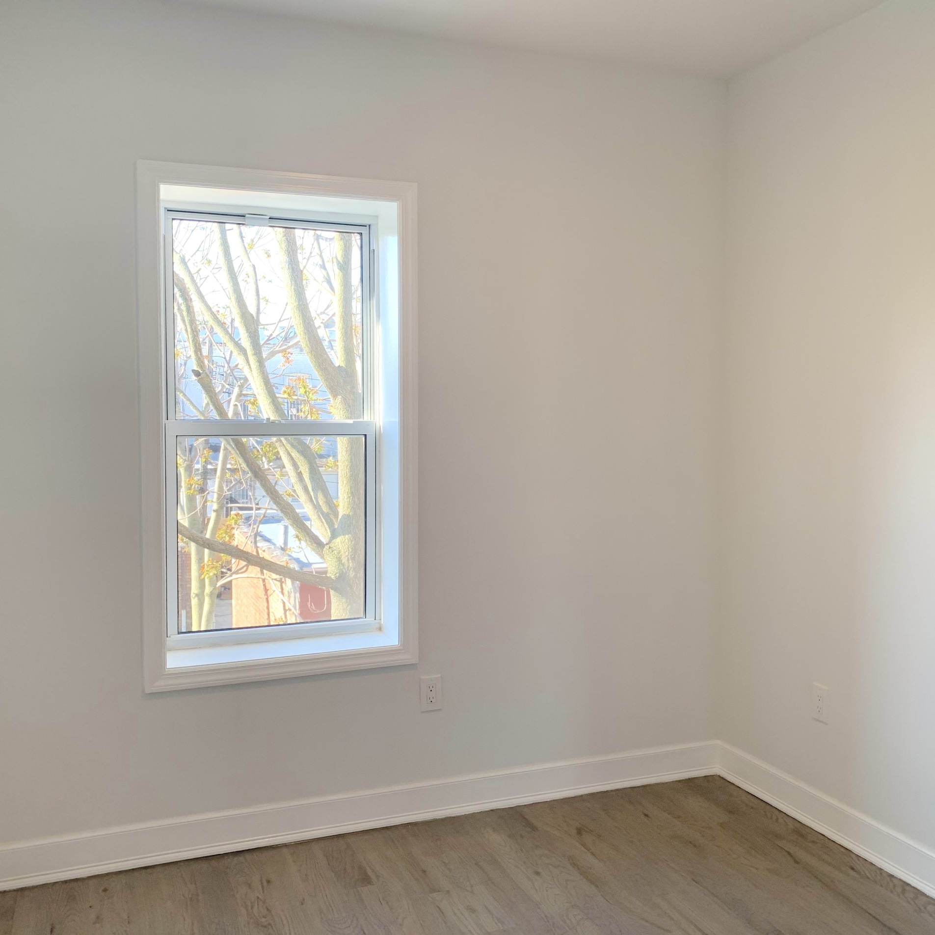 464 Ridgewood Avenue, Unit 2 Brooklyn, NY 11208 - Photo 5 of 8