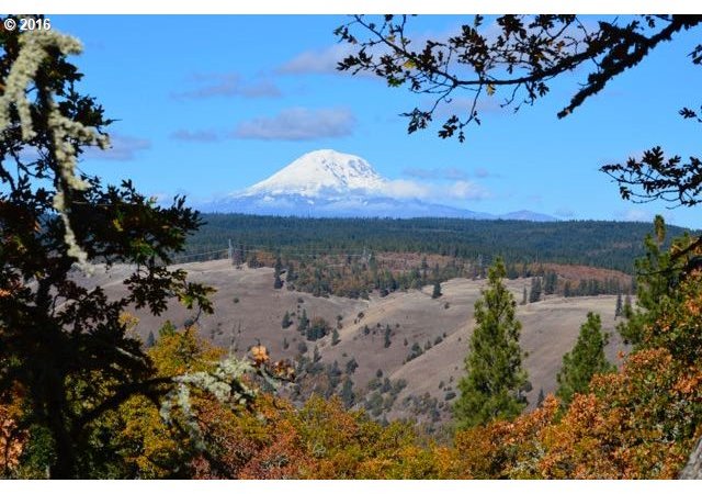 77 Redtail Road Lyle, WA 98635 - Photo 1 of 30 Gallery Image 1