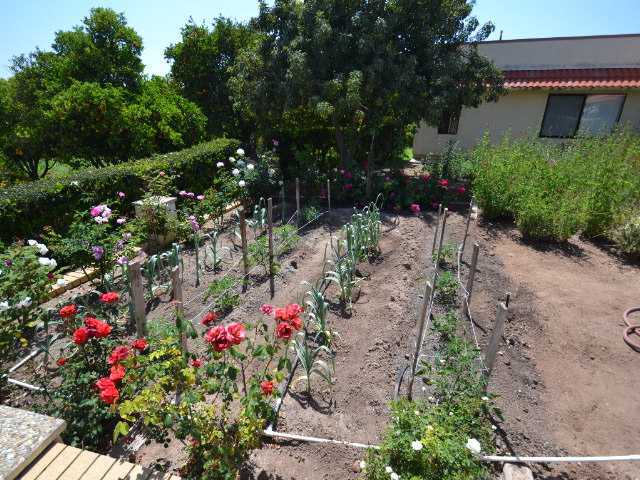 29225 Cole Grade Road Valley Center, CA 92082 - Photo 2 of 25