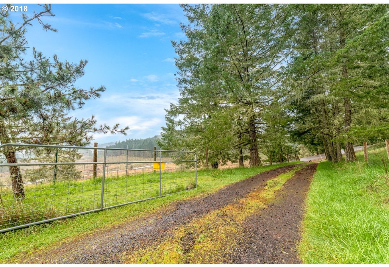 359 London Hill Road Yoncalla, OR 97499 - Photo 29 of 32
