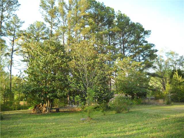 116 Luther Ingle Road Ramer, TN 38367 - Photo 3 of 6