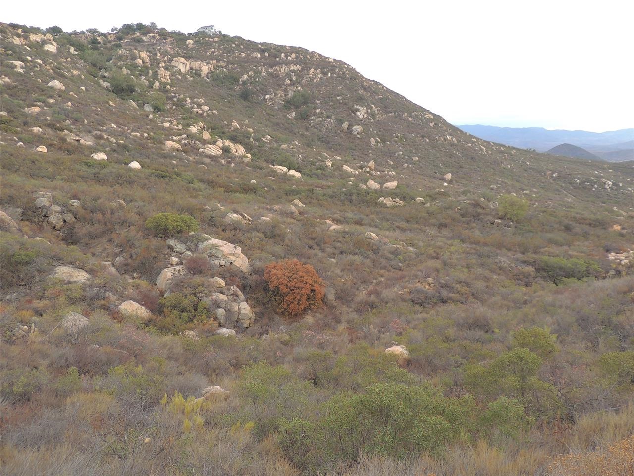 0 Rocky Mountain Road Jamul, CA 91935 - Photo 12 of 15