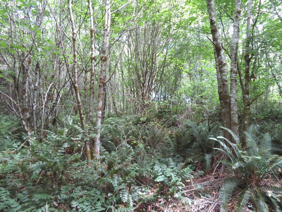 Centralia Alpha Road Chehalis, WA 98532 - Photo 3 of 25 Gallery Image 3