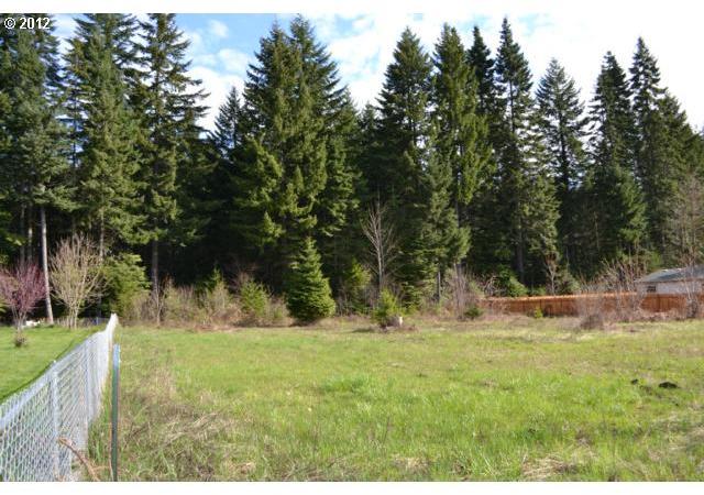 Timber Place Lane Carson, WA 98610 - Photo 4 of 5 Gallery Image 4