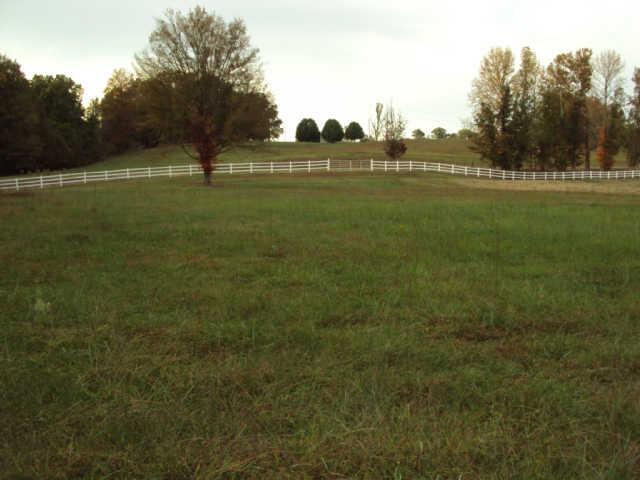 468 Corders Crossroads Road Fayetteville, TN 37334 - Photo 16 of 22
