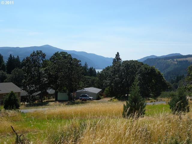 Westwinds Road White Salmon, WA 98672 - Photo 6 of 16 Gallery Image 6