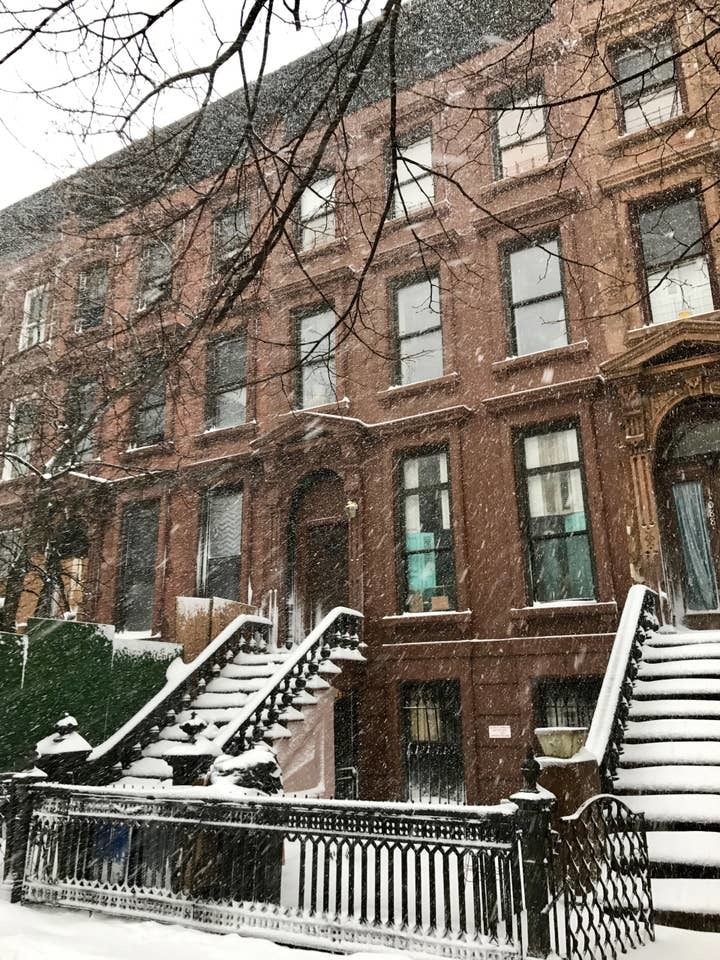 1090 Dean Street, Unit 4 Brooklyn, NY 11216 - Photo 17 of 18