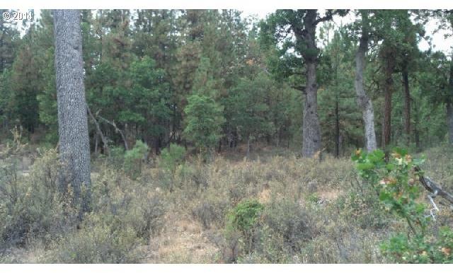 670 Old Mountain Road Goldendale, WA 98620 - Photo 11 of 13 Gallery Image 11