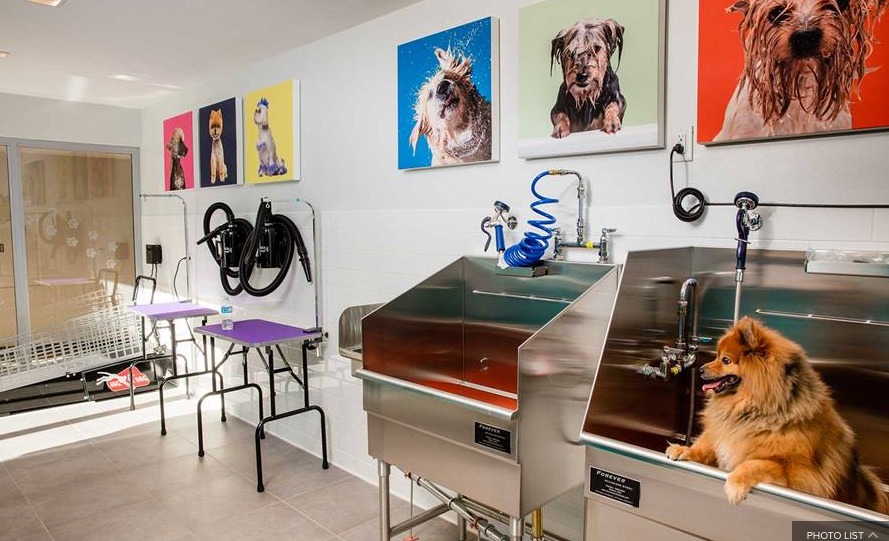 100 Willoughby Street, Unit 4H Brooklyn, NY 11201 - Photo 20 of 40