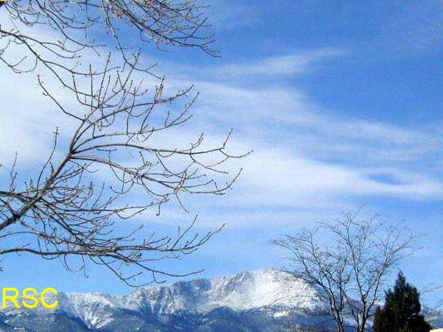 2959 Mesa Road, Unit D Colorado Springs, CO 80904 - Photo 5 of 5