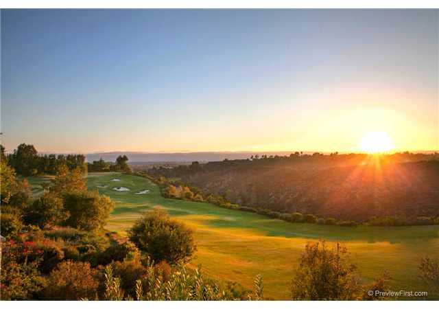 18632 Via Catania Rancho Santa Fe, CA 92091 - Photo 22 of 24