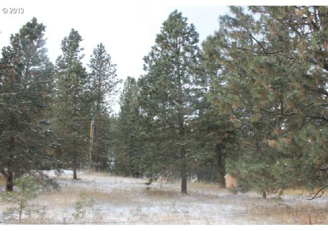 42010 Salmon Cr Road Baker City, OR 97814 - Photo 2 of 12 Gallery Image 2