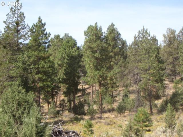 Webber Road Klamath Falls, OR 97603 - Photo 9 of 10 Gallery Image 9