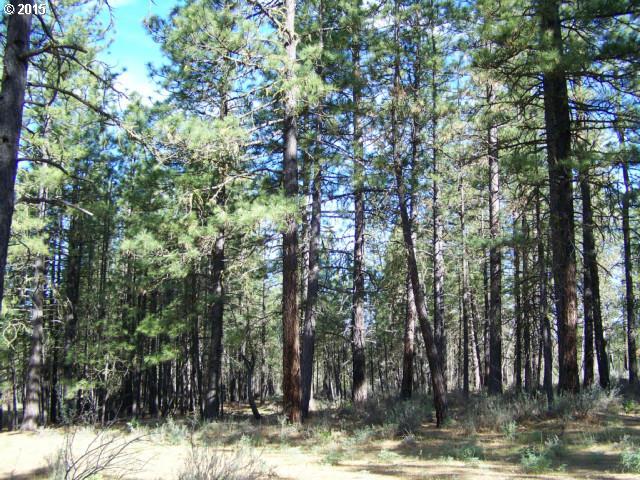 575 Corbett Road Goldendale, WA 98620 - Photo 6 of 7 Gallery Image 6