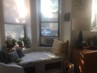 1117 8th Avenue, Unit 2R Brooklyn, NY 11215 - Photo 4 of 7