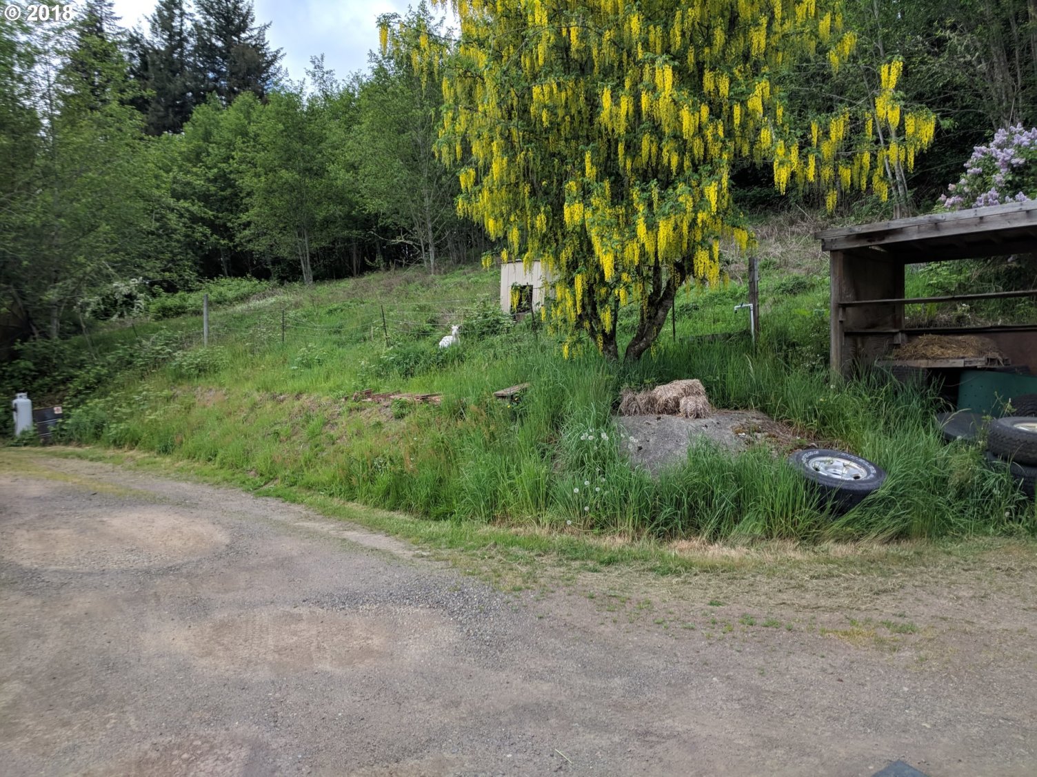 Mt Pleasant Road Kelso, WA 98626 - Photo 14 of 17 Gallery Image 14