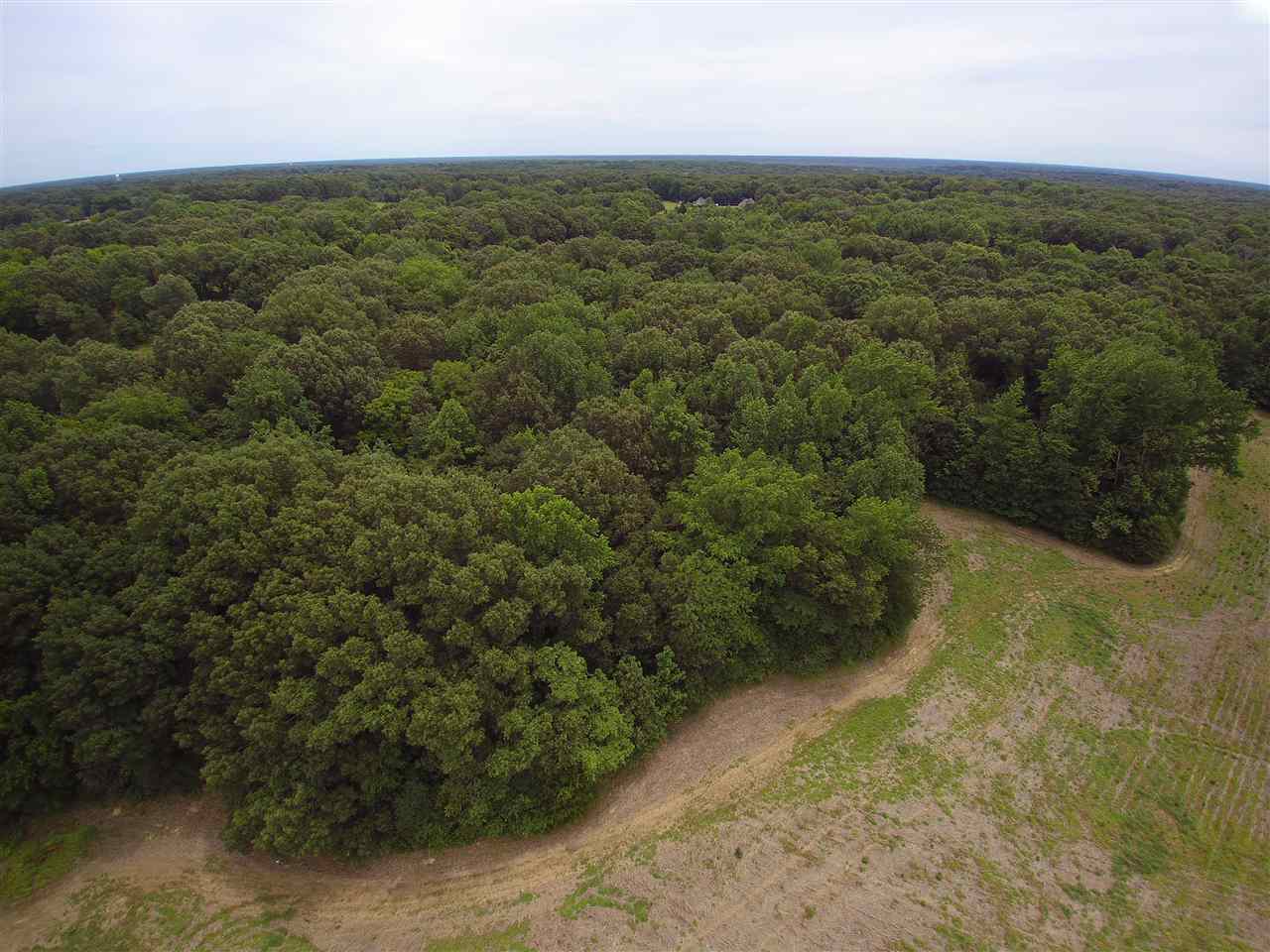 0 Savage Road Hernando, MS 38632 - Photo 8 of 14