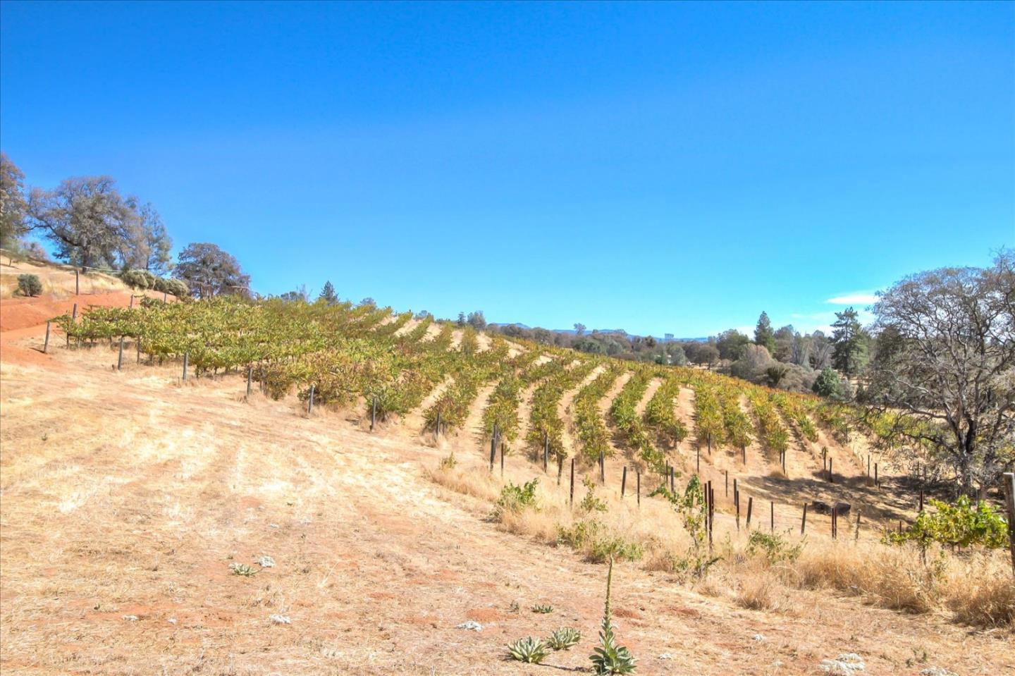 5888 Colorado Road Mariposa, CA 95338 - Photo 47 of 49 Gallery Image 47