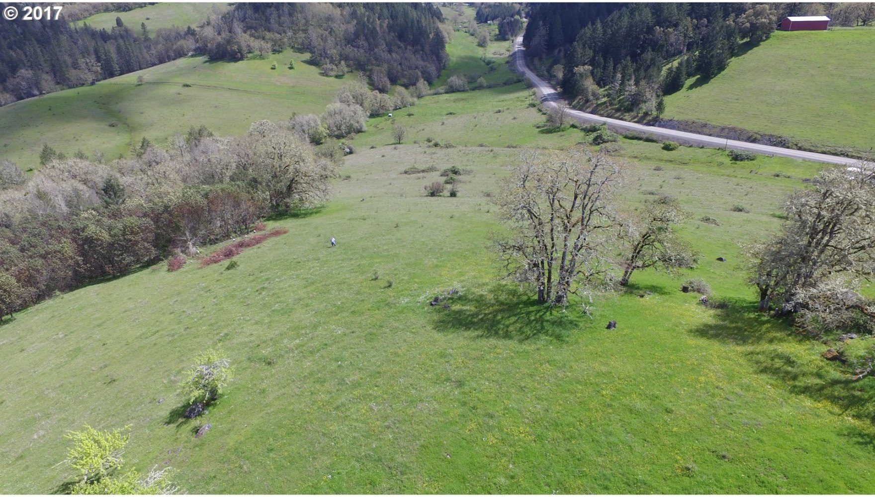 1651 Hoover Hill Road Winston, OR 97496 - Photo 24 of 32 Gallery Image 24