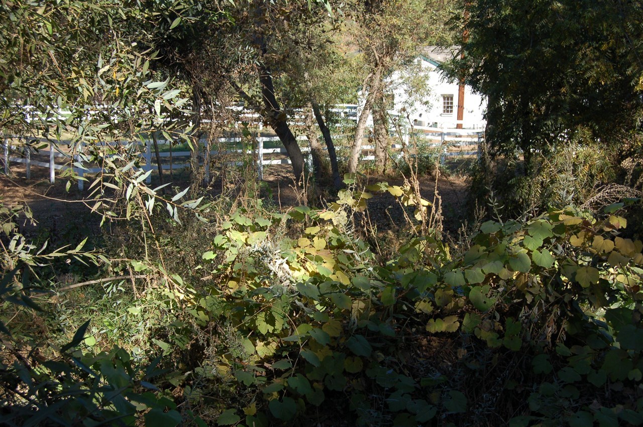 1059 Little Gopher Canyon Road Vista, CA 92084 - Photo 21 of 23