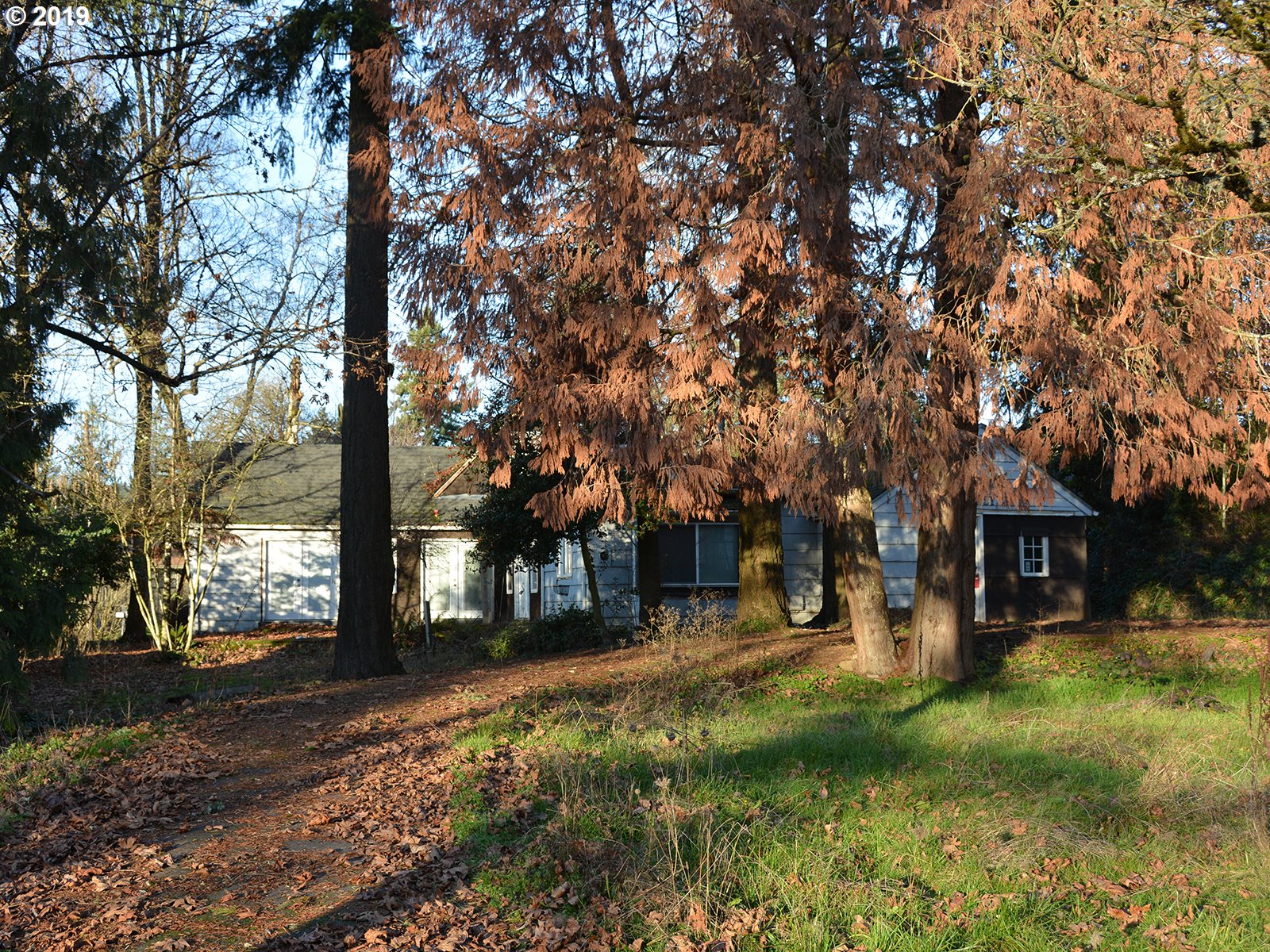 4621 Southwest Cameron Road Portland, OR 97221 - Photo 4 of 4 Gallery Image 4