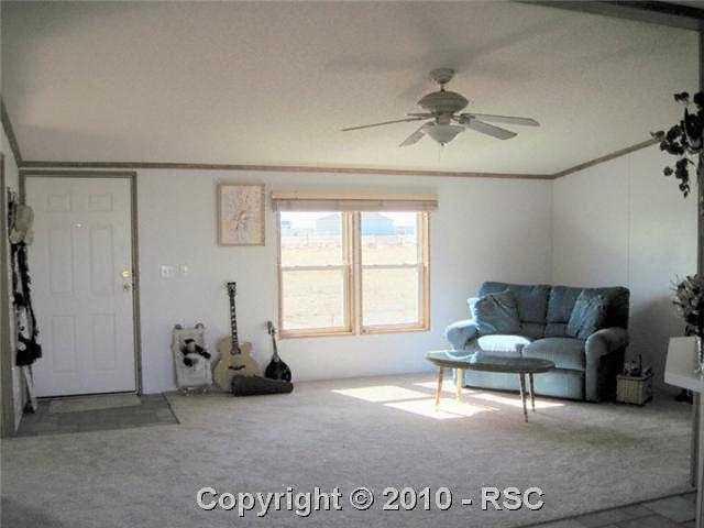5655 Prospero Road Peyton, CO 80831 - Photo 4 of 14 Living Room