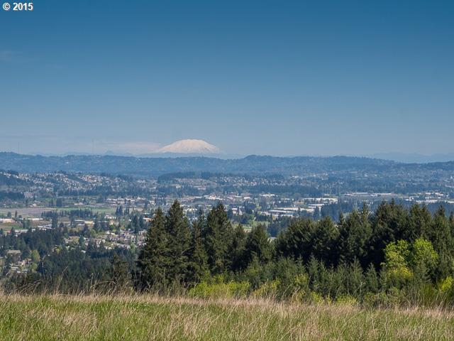 17009 Southwest Parrett Mountain Road, Unit 4 Sherwood, OR 97140 - Photo 2 of 10