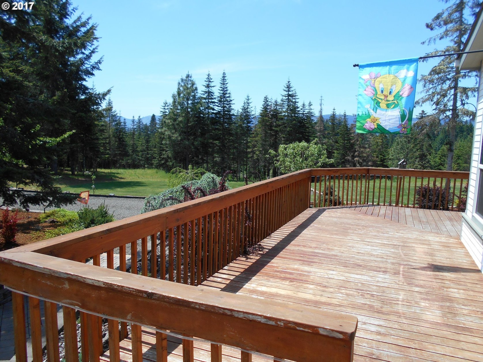 887 Quiet Mountain Road Camas Valley, OR 97416 - Photo 21 of 32 Gallery Image 21