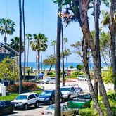 $2,787,000 | 8311 El Paseo Grande, La Jolla, CA 92037