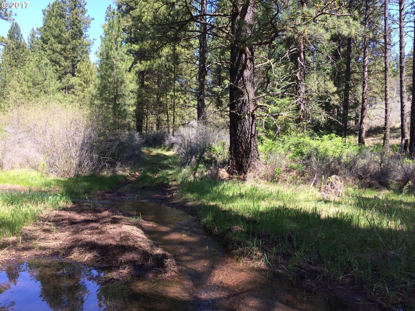 0 Jenkins Creek Road Goldendale, WA 98620 - Photo 22 of 22 Gallery Image 22