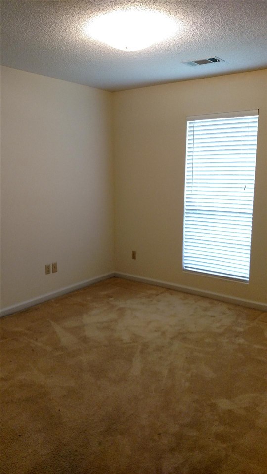 7954 Macon Road Cordova, TN 38018 - Photo 9 of 19 10' x 13' bedroom 2 features lighted, walk-in closet and large window.