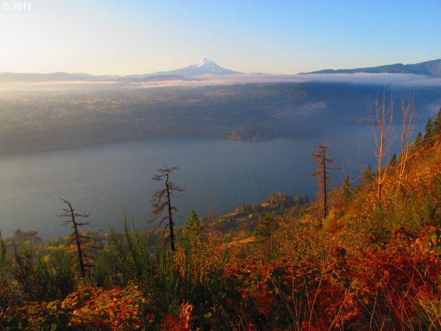 12 Gosnell Road Underwood, WA 98651 - Photo 2 of 10 Gallery Image 2