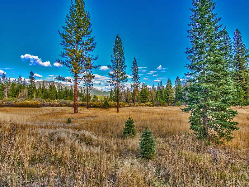 1711 Smith Lake Road Graeagle, CA 96103 - Photo 3 of 14