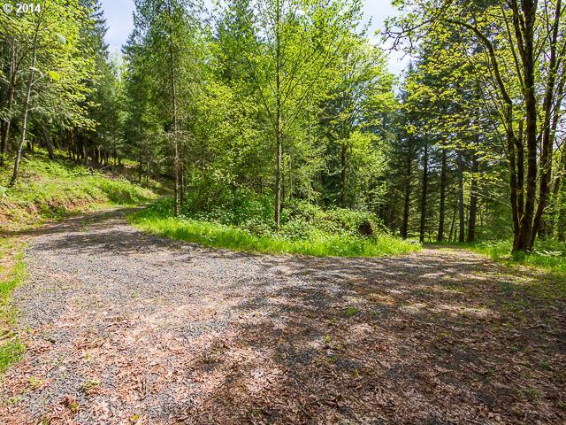 Northwest Davidson Road Banks, OR 97106 - Photo 5 of 16 Gallery Image 5