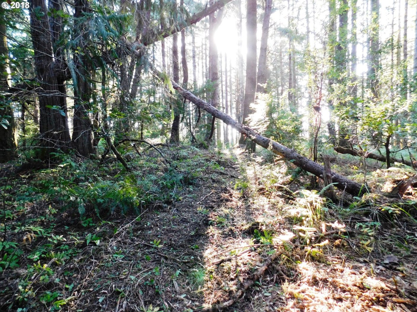 0 Cemetery Loop Road Port Orford, OR 97465 - Photo 7 of 12 Gallery Image 7