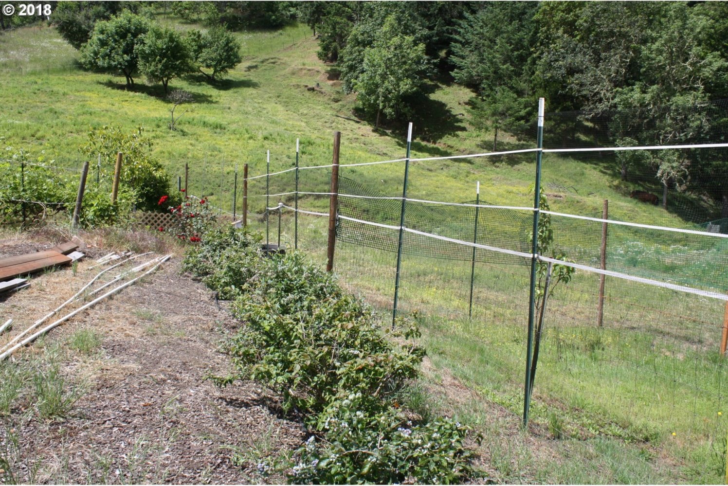 5538 Clarks Branch Road Roseburg, OR 97470 - Photo 15 of 15 Gallery Image 15